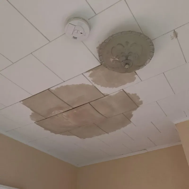 Ceiling Water Damage Repair in Hughesville, PA