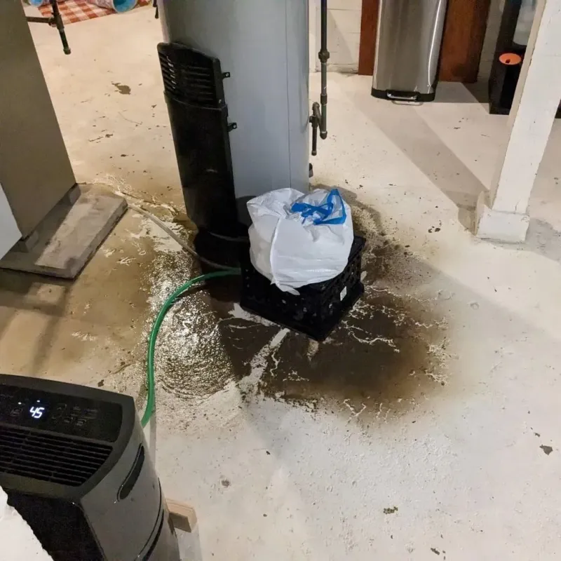 Sewage Backup Cleanup Service in Hughesville, PA